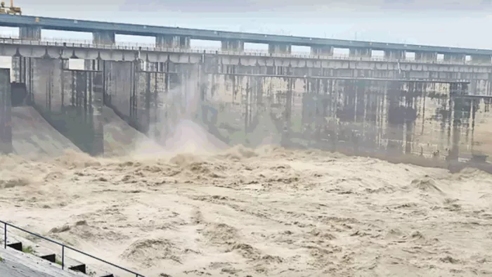 Up Monsoon Update: Rivers can get into a tree, heavy rain alerts; Monsoon will be active – Varanasi weather warning Heavy rain forecast yellow warning is