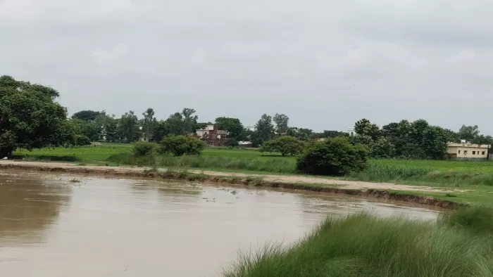 Deoria Flood Alert: Saryu over the red mark, water reached near many towns of Barhaj – Deoria News Saryu River issued the flood warning of danger level.