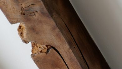 8 Effective ways to remove termites in the home