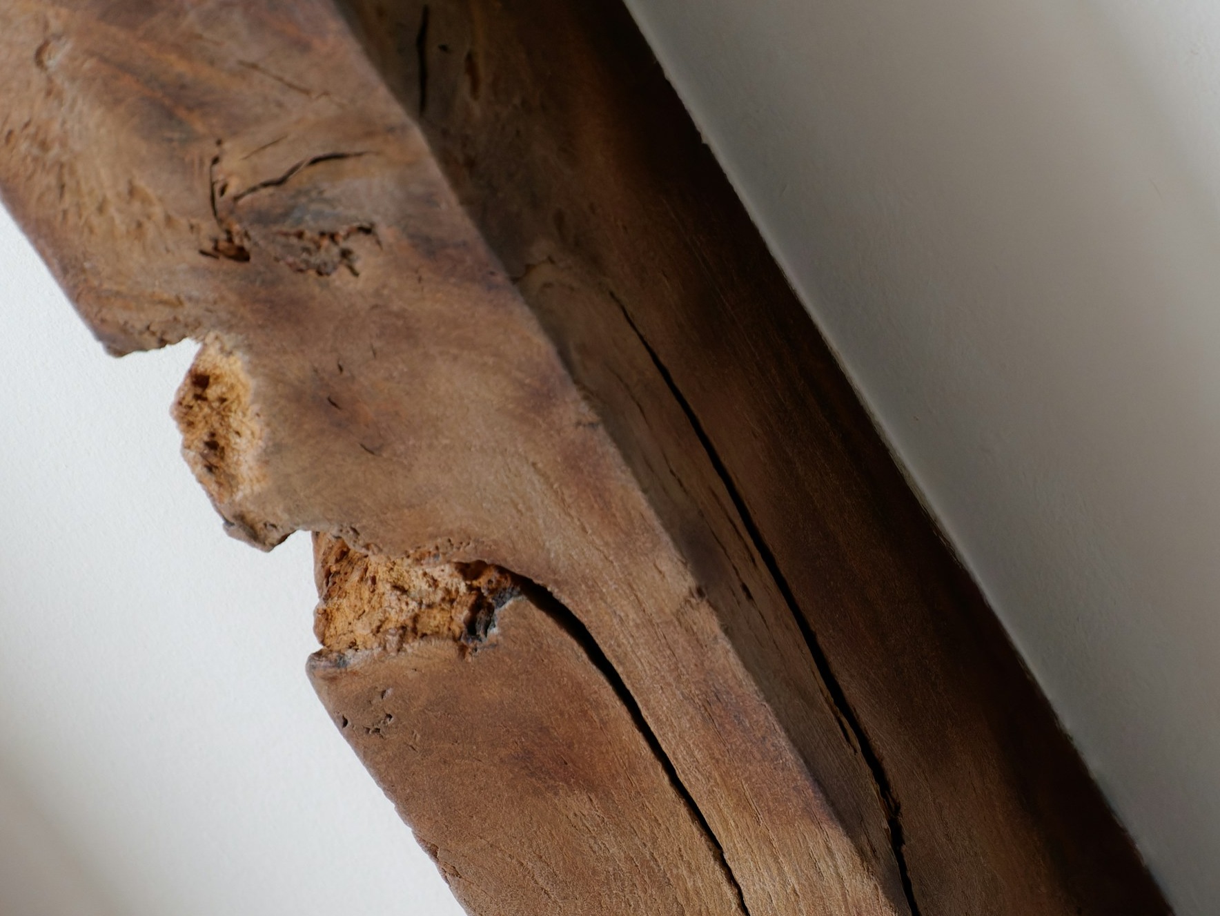 8 Effective ways to remove termites in the home