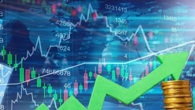 MultiBagger shares: 12,000 percent ran over 5 years, why 23% dropped today