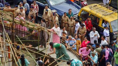 Ban on feeding pigeons in Mumbai, HC said- to form an expert committee