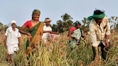 Karnataka Women Group gets the prestigious Award of the UN, cash reward of 10 thousand dollars – Karnataka Women Group wins prestigious UN Award