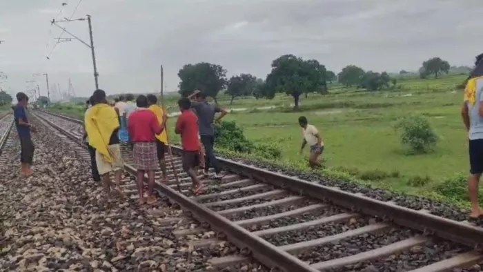Bihar News: 600 sheep killed by train on the railway line in macaw, a stir that was created – Train accident makes 600 sheep near Ara on Patna DDU railway dead