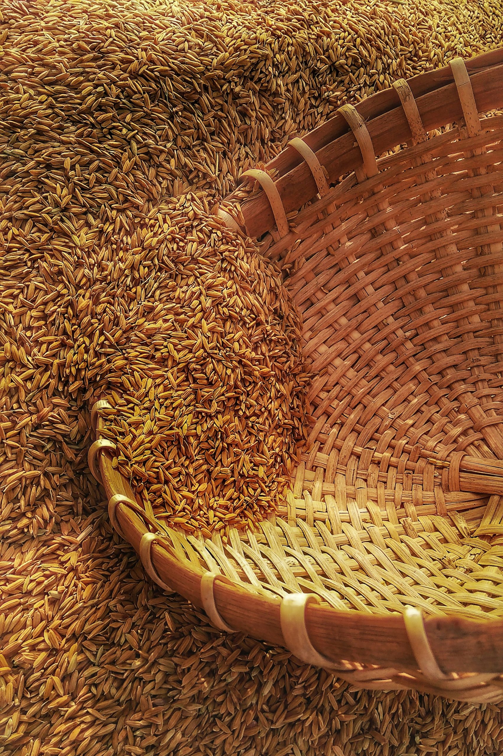 Do you not consume wheat flour?