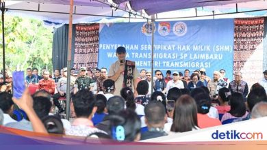 Transfers emphasize that they will not do transmigration without any suggestions