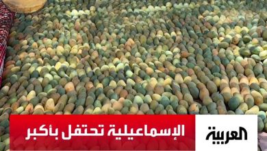بأكبر سجادة مانجو في العالم.. الإسماعيلية تتألق في مهرجان ملكة الفواكه الثالث على نغمات…
