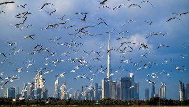 أفضل المدن التي يشتري فيها الأثرياء منازل ثانية في عام 2025.. بينها مدينة عربية