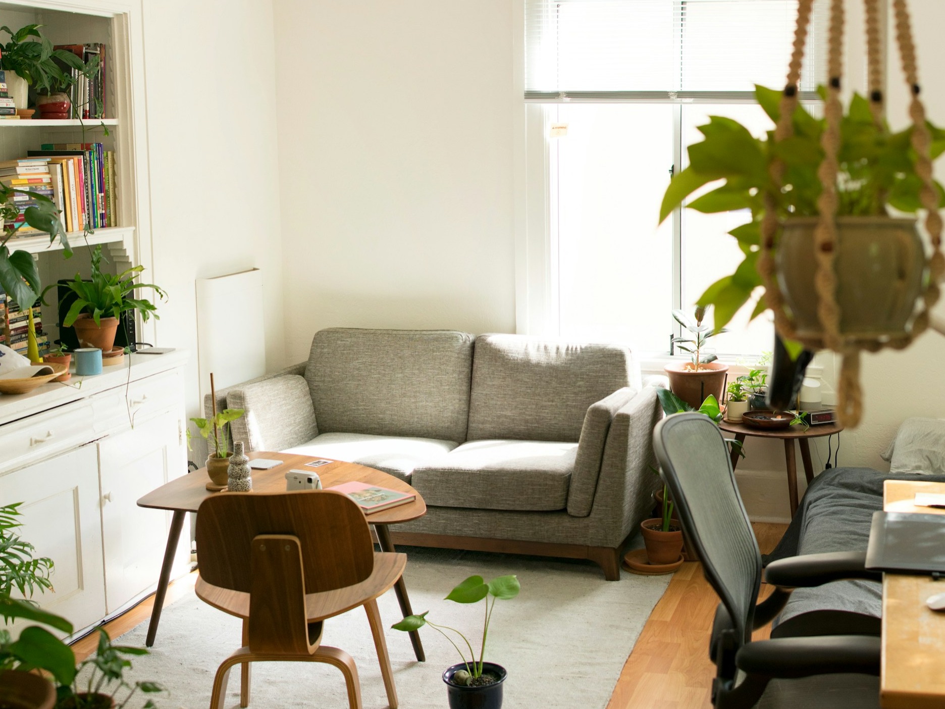How to get relief from moisture at home