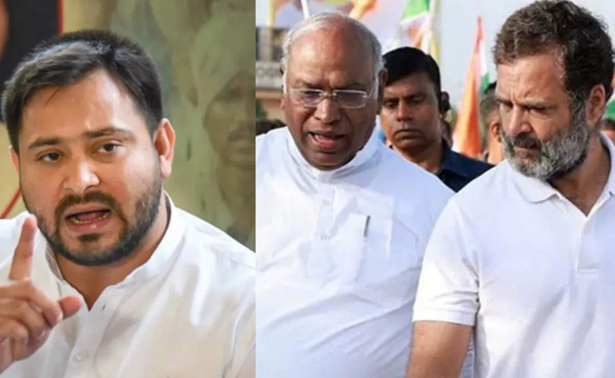 Heated atmosphere in the Bihar meeting: Tejashwi said: “Fear feels power, so they are disturbing