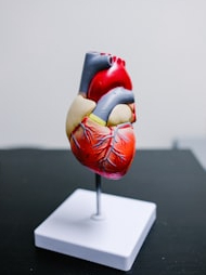 9 Signs, indicating heart problems