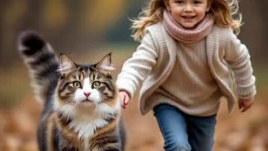 Grok صار يقدر يسوي فيديوهات. وهذا نموذج من اعماله الفنية … اتوقع لو ما علمتك انه ذكاء…