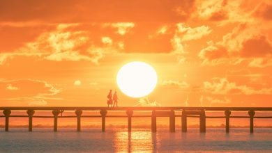 Horoscope from 10 to 16 August 2025: Libra people will rise this week