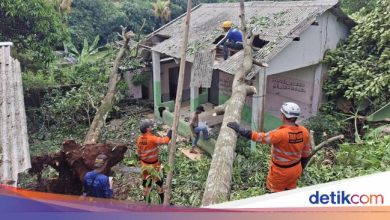 BPBD Bogor Record 20 Disasters Impact of Heavy Rain Overnight: Landslides