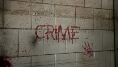 Another Indian who was brutally assaulted in Ireland: Chef living in the country for more than 20 years was on his way to work