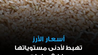 أسعار الأرز العالمية تهبط إلى أدنى مستوى لها في ثماني سنوات، في ضربة قوية لعديد من المزارعين…