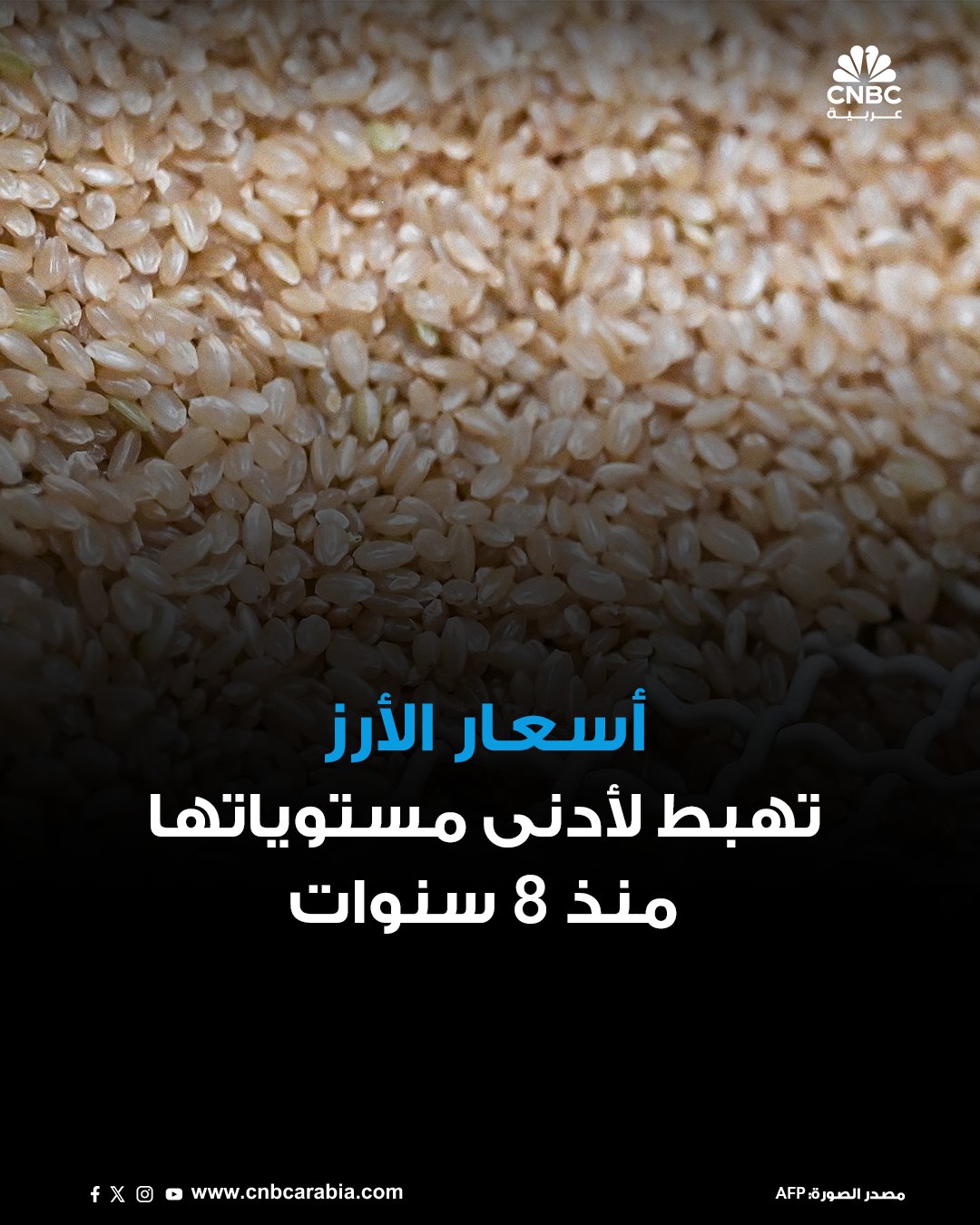 أسعار الأرز العالمية تهبط إلى أدنى مستوى لها في ثماني سنوات، في ضربة قوية لعديد من المزارعين…