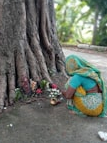 10 trees worshiped in India