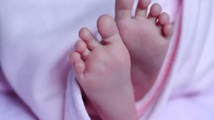 Odisha News: Mother embarrassed Mamta, threw it into the bush after giving a newborn baby; Spirit will shake – mother throws newborn in bushes after birth in Gadhawa