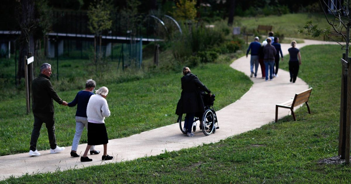 Researchers reveal a possible cause of “Alzheimer”