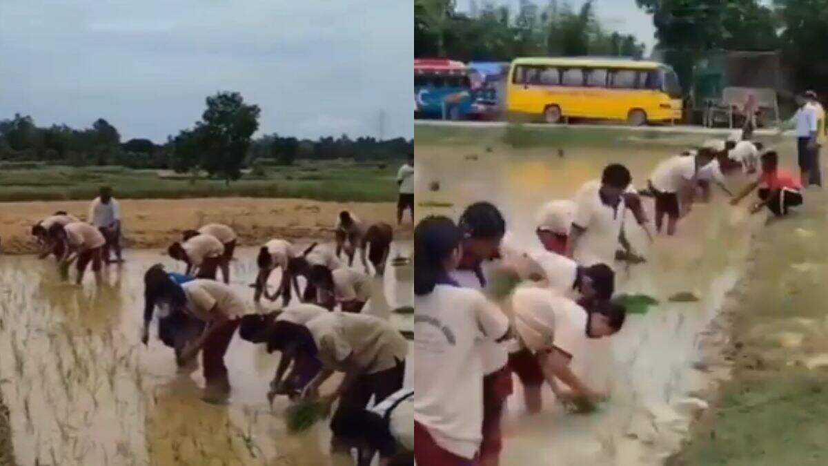 Did not think this could happen … did such practical things to children who had never seen or abandoned, would be seen video