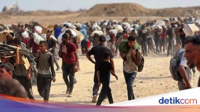 Experts remind the impact of the plan of Ri Ri Ri Gaza on Galang Island