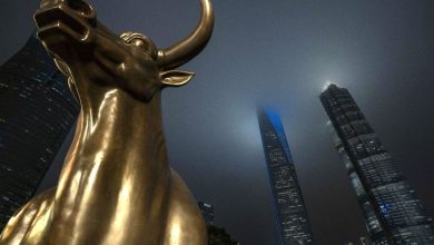 The Chinese stock market worth $ 11 trillion is a tranquil recovery