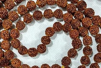 Know what is the importance of Ruddraksha