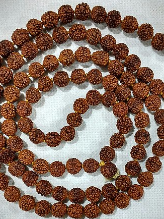 Know what is the importance of Ruddraksha