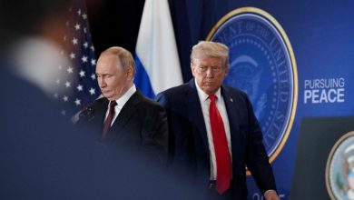Trump thinks the Ukraine agreement ‘Near’, says ‘Zelensky, Putin and I think me too’ to meet next
