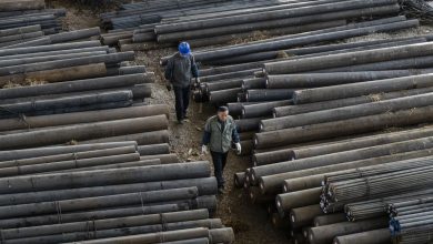 Iron ore price is still rising for the second day, over $ 104 per ton