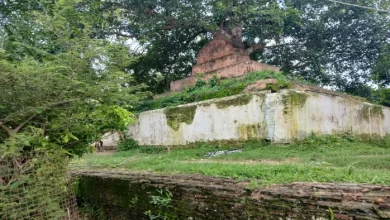 Krishna Janmashtami: Radhakund to Kahin Govardhana, Krishna Bhakti Ms Rama Aamaajan – Krishna – Demand near Ayodhya A story of kings and queens