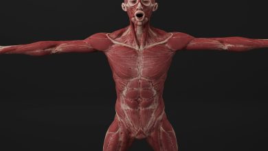 Even if it is alive, it is possible to donate these organs!
