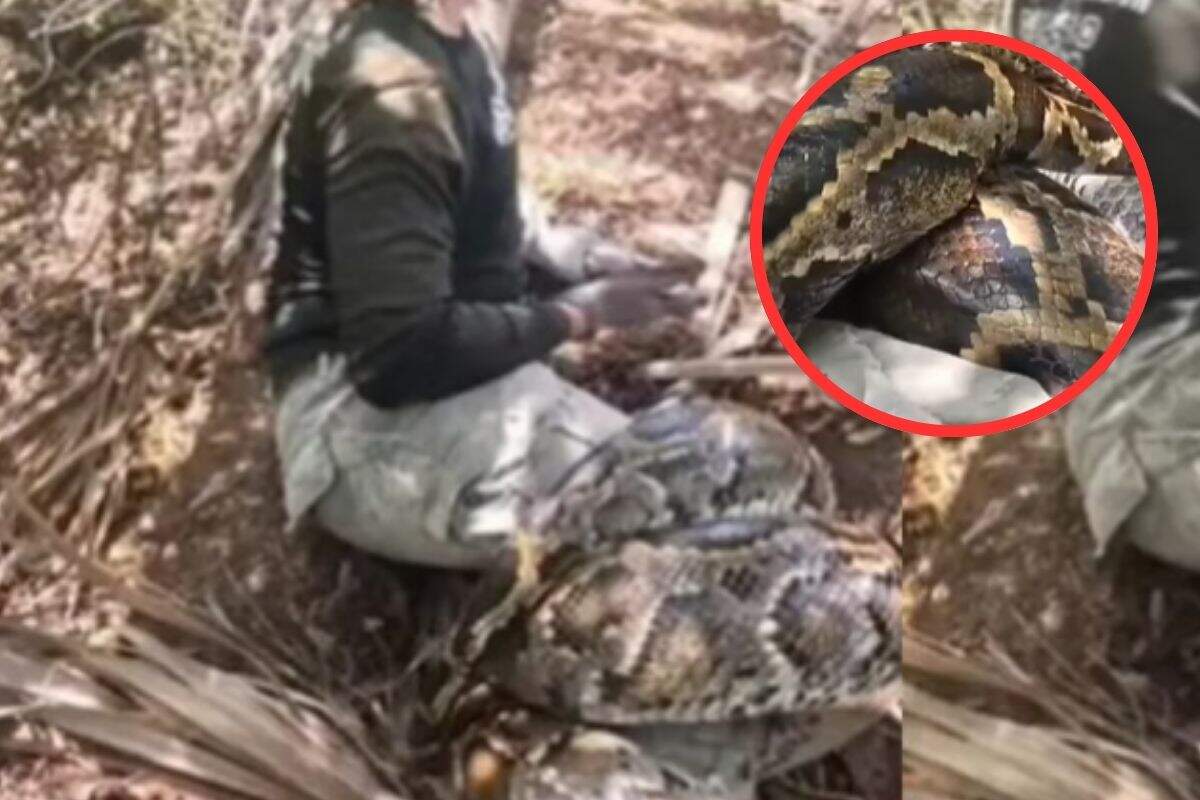 Viral on social media a young man will be trapped in the grip of Ajgar to see this video