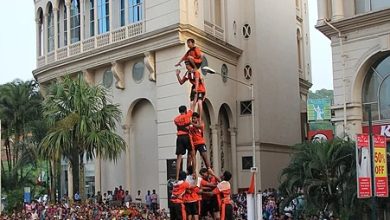 Why Boom Dahi Handi on JanMashtami?