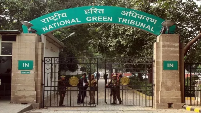 Ngt attributed police to cut trees in Delhi, strict orders came; Action on Contractor Also – Police in NCR Delhi held liable for illegal tree cutting in Mangolpuri New Delhi City News