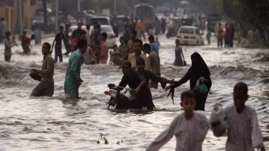 Rain roses created a shout in Pakistan! More than 300 people are dead and searching for many people continues