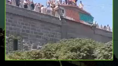 مشاهد متداولة للعلم الإسرائيلي يرفرف خلال مظاهرة ضخمة للدروز في محافظة السويداء السورية. #ترامب