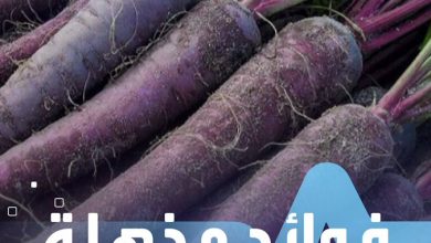 هل تعرف الجزر الأسود؟.. إليك فوائده المذهلة _صحة #صحة