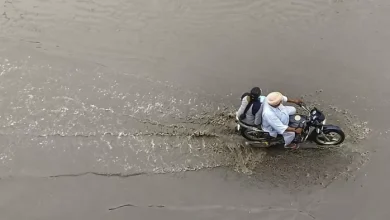 Rain destruction in Punjab, many towns in Hoshiarpur-Ferozepur in flood; Destruction due to rising water level in Beas and Sutlej – Rain -related in Punjab Many towns in Hoshiarpur Ferozepur are in the grip of the flooding