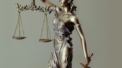 With which fund does the government pay the fine of the court?