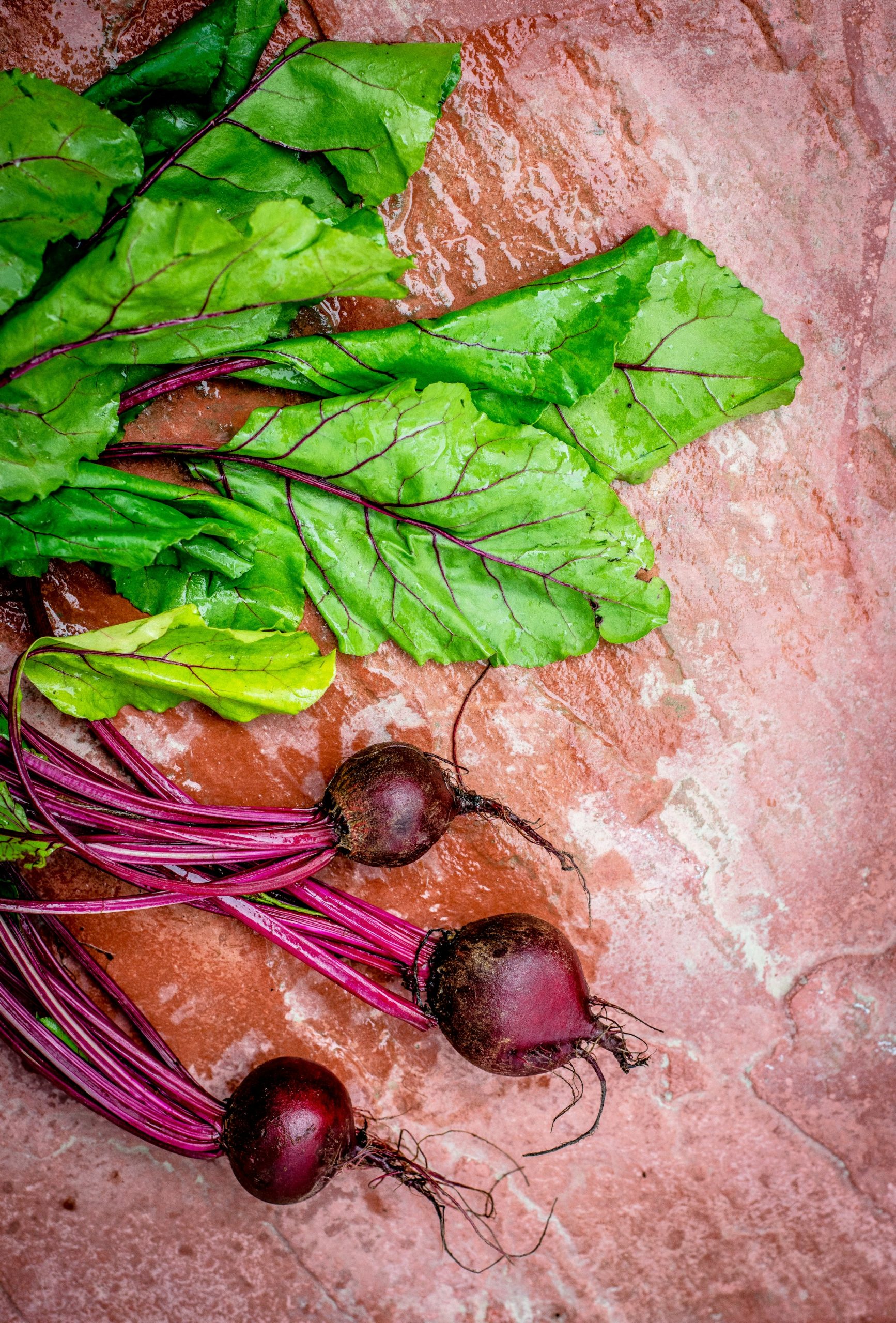 Where is the most beet in the world?