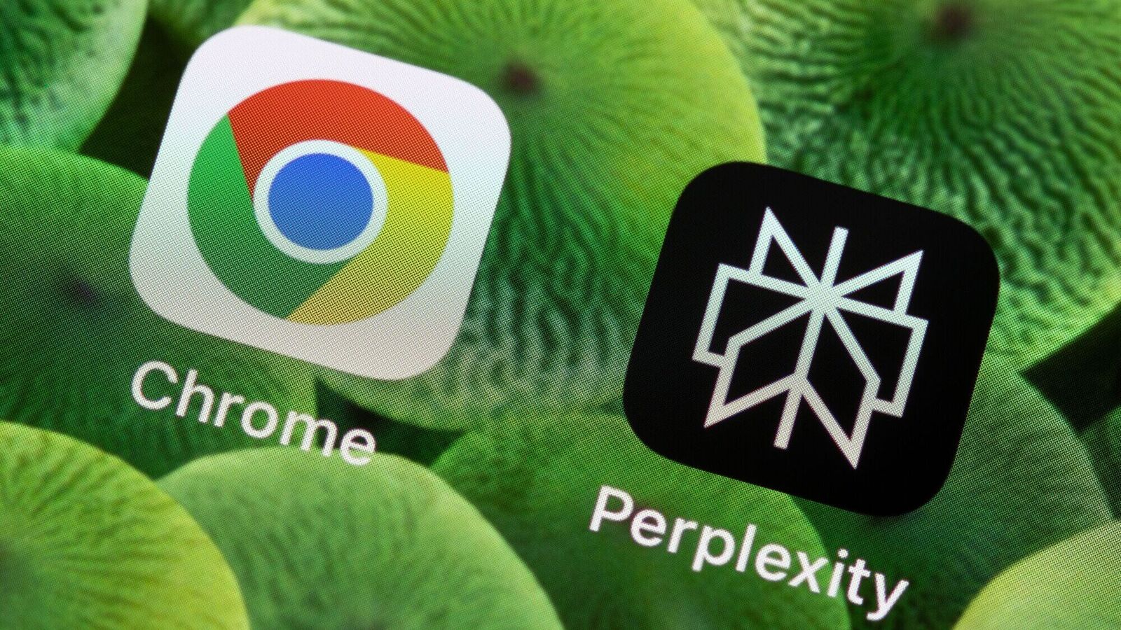 Patplexity’s bid of $ 34.5 billion for Google’s Chrome looks ominous