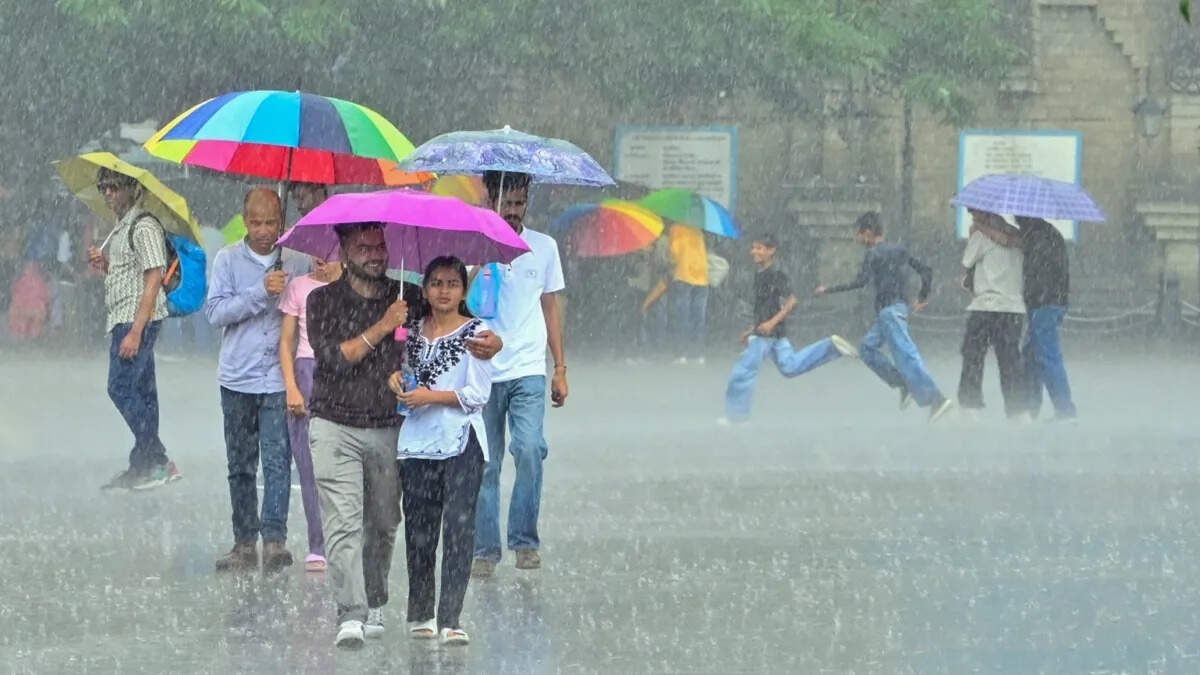 Monsoon activities will increase within the next 48 hours, IMD has released Orange Alert for many districts