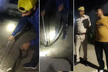 Cabra was stirred by the late night Cobra in jail, the civil defensive team has improperly stripped away