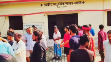 Painful incident in Ballia: Cattleman’s body has hanged, sensation in the area