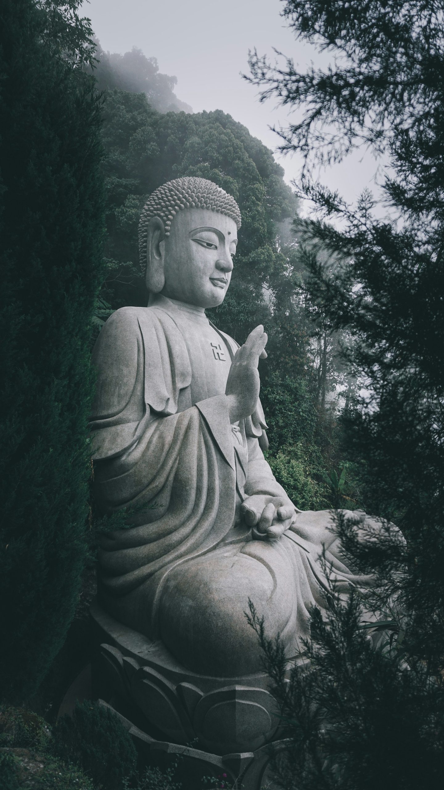 Who will be the next incarnation of Buddha?