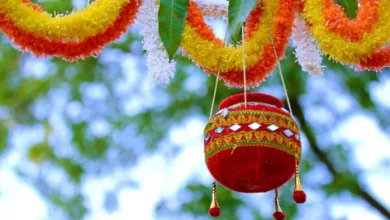 Accident during the Dahi Handi program in Gujarat, teenager dies due to the fall of electric pole; Pasra mour