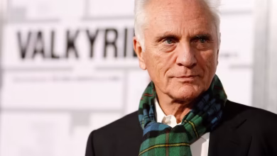 The popular Hollywood actor Terence Stamp dies at the age of 87, a wave of mourning in the family