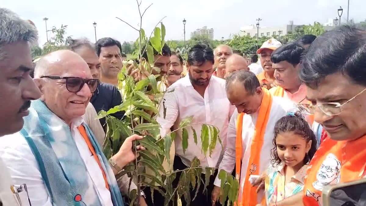 BJP’s plantation campaign failed in Rajasthan, learning in exclusive video, workers have 11 lakhs less than target